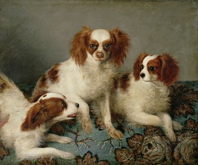 Drei Cavalier King Charles Spaniels auf einem Teppich von English School